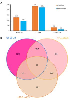 Integration of Transcriptional and Post-transcriptional Analysis Revealed the Early Response Mechanism of Sugarcane to Cold Stress